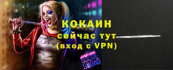 соль ск Абаза